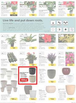 Builders KZN & East London : Live Life Colourfully (20 Nov - 30 Dec 2018), page 5