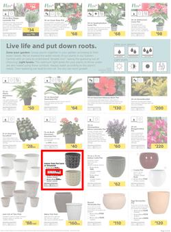 Builders KZN & East London : Live Life Colourfully (20 Nov - 30 Dec 2018), page 5