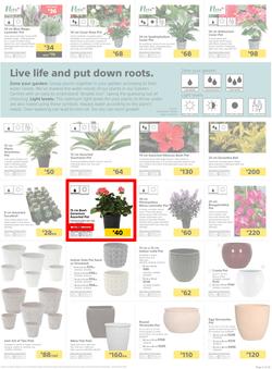 Builders KZN & East London : Live Life Colourfully (20 Nov - 30 Dec 2018), page 5