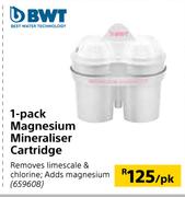 BWT 1 Pack Magnesium Mineraliser Cartridge-Pe pk