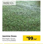 Jasmine Grass-Per Sqm