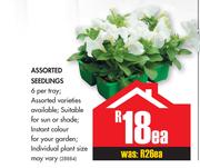 Assorted Seedlings-Each