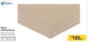 Gyproc Rhino Ceiling Board-6.4m x 1.2m x 3m Each