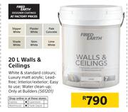 Fired Earth 20L Walls & Ceilings