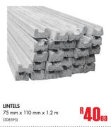 Lintels-75mm x 110mm x 1.2m