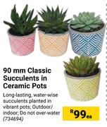 90mm Classic Succulents In Ceramic Pots-Each