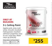 Fired Earth 5Ltr Ceiling Paint