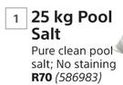 Blue Chem 25kg Pool Salt