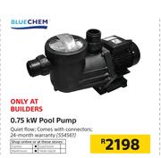 Blue Chem 0.75kW Pool Pump