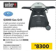 Weber Q3000 Gas Grill