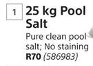Blue Chem 25kg Pool Salt