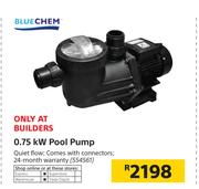 Blue Chem 0.75 kW Pool Pump
