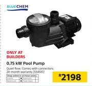 Blue Chem 0.75 kW Pool Pump