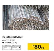 Reinforced Steel 6m, Y10-Each