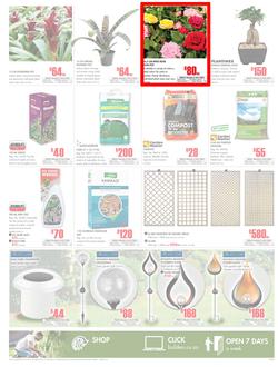 Builders East London & KZN : Get More For Less (20 Feb - 18 Mar 2018), page 3