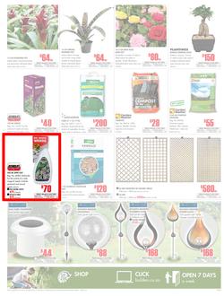 Builders East London & KZN : Get More For Less (20 Feb - 18 Mar 2018), page 3