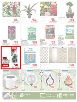 Builders East London & KZN : Get More For Less (20 Feb - 18 Mar 2018), page 3