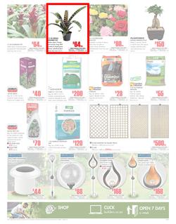 Builders Inland : Get More For Less (20 Feb - 18 Mar 2018), page 3