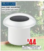 Solar Flair Halo Tubby Mushroom