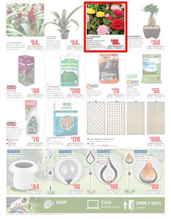 Builders Western Cape & PE : Get More For Less With Builders (20 Feb - 18 Mar 2018), page 3