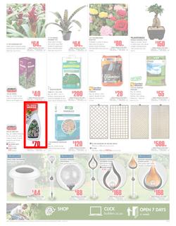 Builders Western Cape & PE : Get More For Less With Builders (20 Feb - 18 Mar 2018), page 3