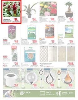Builders Western Cape & PE : Get More For Less With Builders (20 Feb - 18 Mar 2018), page 3