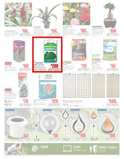 Builders Western Cape & PE : Get More For Less With Builders (20 Feb - 18 Mar 2018), page 3