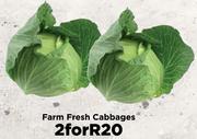 Farm Fresh Cabbage- For 2