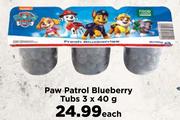 Paw Patrol Blueberry Tube 3 x 40g- Each