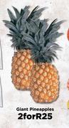 Giant Pineapples-For 2