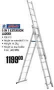 5 In 1 Extension Ladder-16.2kg