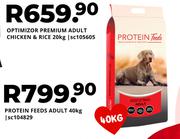 Protein Feeds Adult-40Kg