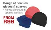 Salomon Range Of Beanies, Gloves & Scarves