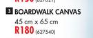 Board Walk Canvas (45cm x 65cm)