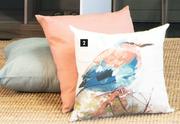 Scatter Cushion (50cm x 50cm)