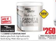 Fired Earth 1Ltr Cabinet & Furniture Paint