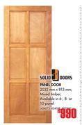 Solid Doors Panel Door