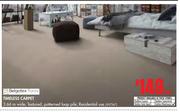 Belgotex Foors Timeless Carpet-Per Sqm