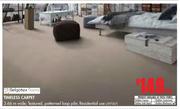 Belgotex Foors Timeless Carpet-Per Sqm