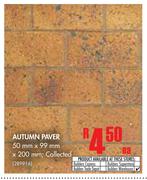 Autumn Paver Collected-50mm x 99mm x 200mm Each