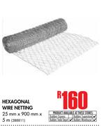 Hexagonal Wire Netting-25mm x 900mm x 5m