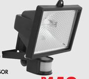 Eurolux Security Light 500W Enclosed
