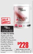 Fired Earth Pink To White-5Ltr