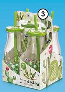 Clicks Set Of 4 Cactus Glass Drinking Bottles