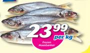 Frozen Maasbanker-Per kg
