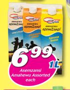 Asemzansi Amahewu Assorted-1Ltr Each