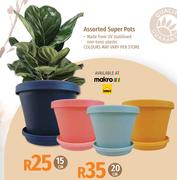 [MAKRO]- Garden Master 15cm Assorted Super Pots