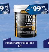 Flash Harry Fix A Leak-5L