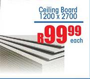 Ceiling Board 1200x2700-Each