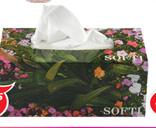 Softi 2-Ply Tissues